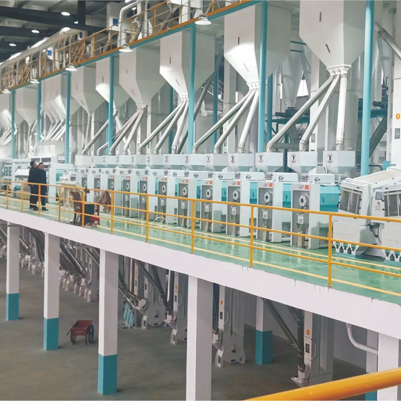30 TPD Rice Processing Plant